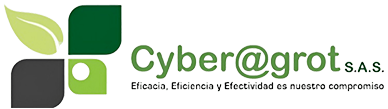 Cyber@grot